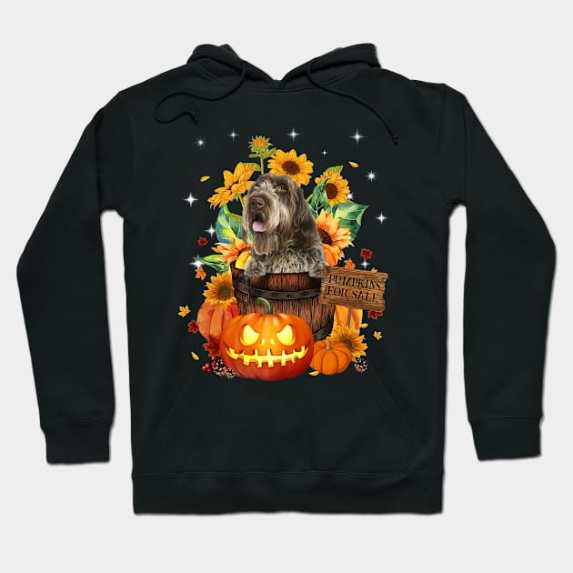 Wirehaired Pointing Griffon Halloween Pumpkin Fall Bucket Hoodie by nakaahikithuy